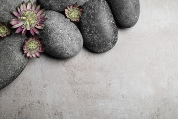 Obraz na płótnie Canvas Spa stones and astrantia flowers on grey table, flat lay. Space for text
