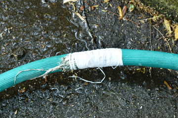 crack green watering rubber tube repairing by white tape roll with dry leaf on frontyard garden ground