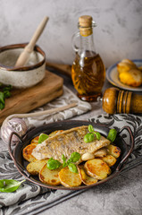 Zander fish grilled