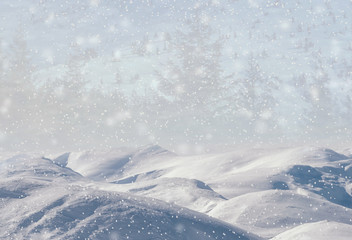 Fototapeta na wymiar Winter landscape with falling snow