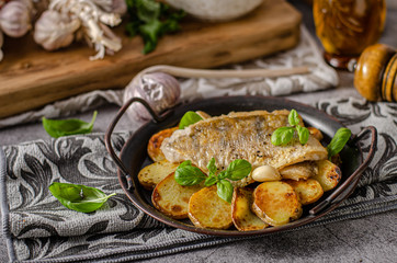 Zander fish grilled