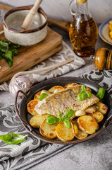 Zander fish grilled
