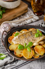 Zander fish grilled