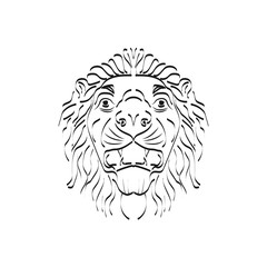 Fototapeta premium head lion line art design template