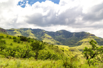 Panoramic view over green trees and mountains, Giants Castle Game Reserve, Drakensberg, South Africa