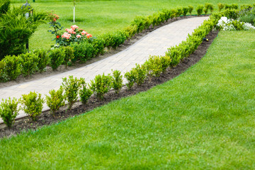 Garden with green lawn, bushes, and rose flowers. Stone block pathway, close up. Stone walkway