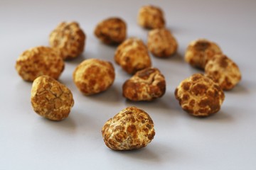 Desert truffles from Kuwait, Saudi Arabia, Iraq and Iran