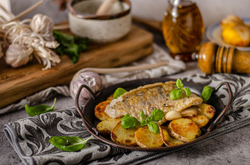 Zander fish grilled