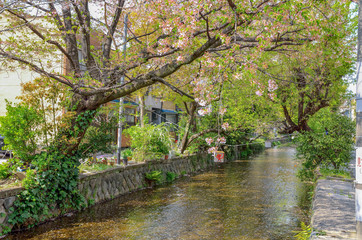 京都の高瀬川