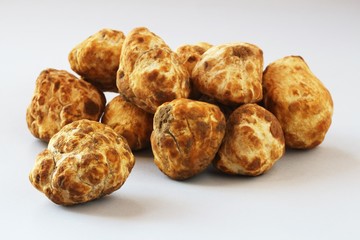 Desert truffles from Kuwait, Saudi Arabia, Iraq and Iran