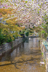 京都の高瀬川