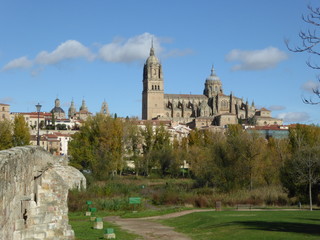 Salamanca Old Cathedral from the Roman Bridge