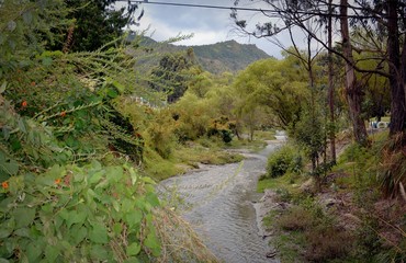 stream in the forest