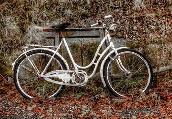 Fototapeta na wymiar Old, Abandoned, White Bicycle 