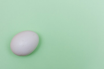 Easter holiday flat lay with white egg on a solid light green pastel background with copy space.