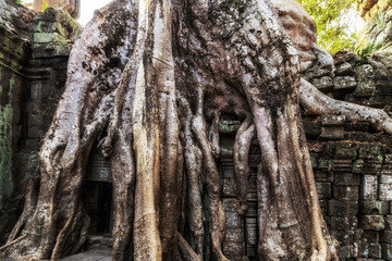 Angkor Wat Siem Reap Cambodia Asia Khmer civilization ruins
