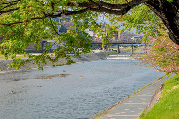 京都の鴨川