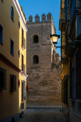 Fototapeta premium calle del la ciudad , torre y muralla