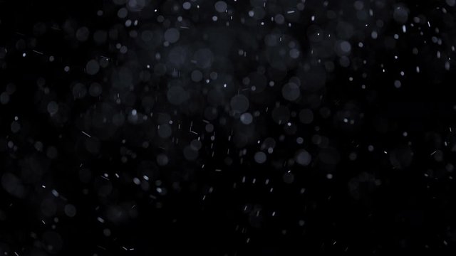 Natural floating particles on black background. Slow motion.