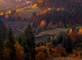 Autumn foliage trees in the mountains. Meadow with haystack and forest in the Carpathian mountains