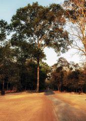 Obraz premium Ancient ruins Wat sunrise at Siem Reap Cambodia