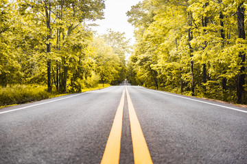 Fototapeta premium asphalt road with yellow diving line and forest background