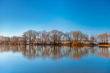 Spring natural landscape with trees standing in the water during the spring flood. beautiful spring landscape with reflection in a river, lake or pond.
