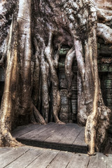 Ruins of Angkor Wat Hindu temple complex Cambodia.
