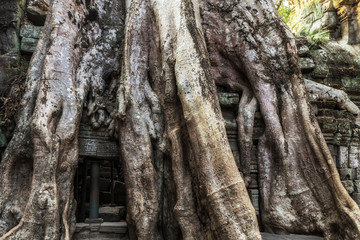 Angkor complex tourist attraction Angkor Wat Archaeological Park in Siem Reap Cambodia