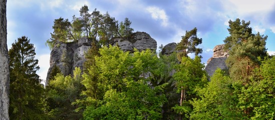 High sandstone towers partly covered with lush green trees. Cloudy sky, Bohemian Paradise, Czech Republic. 