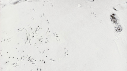 Pigeon trails on fresh snow. Natural winter background in Cappadocia, Turkey