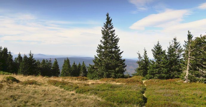 west view from &Scaron;er&aacute;k peak in Jesen&iacute;ky mountains in Czech Republic