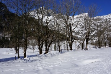 Winterlandschaft im Gebirge, Österreich, Wanderweg mit Schnee