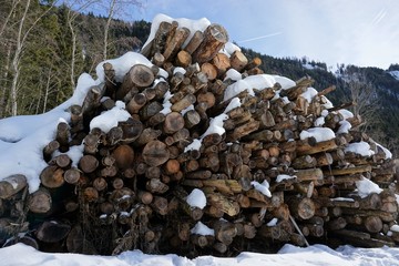 Holzindustrie, Stapel, Trocknen von abgeholzten Baumstämmen im Winter, schneebedecktes Holz