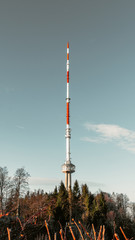 Obraz premium TV Tower Uetli Mountain in Zurich