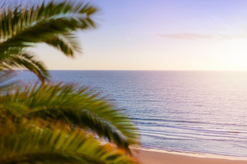 Fototapeta na wymiar A beautiful sunrise in paradise over a bright tropical beach with blurred palm trees in the foreground. Nature background. Vacation, travel concept.