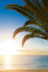 Fototapeta na wymiar A beautiful sunrise in paradise over a tropical beach with palm trees. Nature Background. Holiday concept.