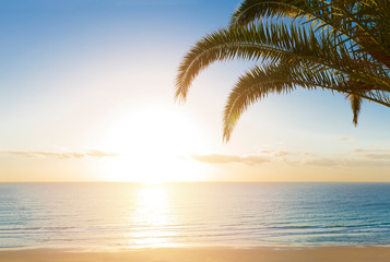 A beautiful sunrise in paradise over a tropical beach with  palm trees. Nature Background. Holiday concept.