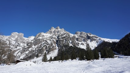 Fototapeta na wymiar Blick auf das verschneite Tennengebirge - Schneelandschaft in Werfenweng, Austria - winter landscape with mountains