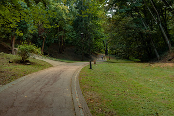 park outdoor walking asphalt road spring time green foliage and grass meadow natural environment