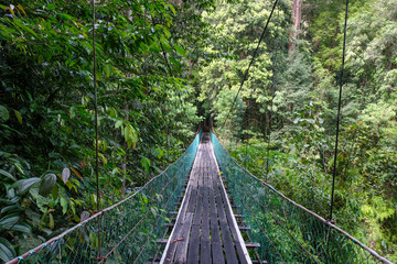 The suspension bridge crossing the wild river in the middle of the Borneo Rainforest in Sabah, Malaysia.