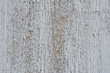 texture of old wooden wall