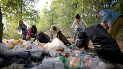 volunteers women are sorting waste on dump in forest in summer day, recyclable materials and...