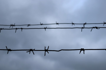 Barbed wire against the sky. The prison fence. Security