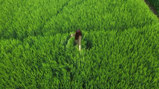 Top down view happy freedom young girl walking through green rural field touching playing with wheat ears dancing enjoying time in the countryside.