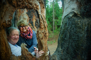 Happy senior couple sitting and smiling inside a hollow tree. Tree trunks surround them in the woods
