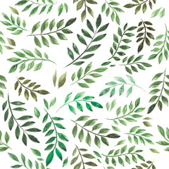 stock illustration. tropical green leaves seamless pattern isolated on white background. Vintage watercolor drawing. design for wallpaper, wrapper, textile, fabric, ceramics