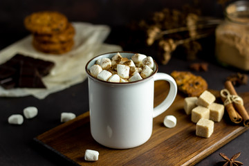 Hot chocolate with marshmallows in a white mug on a rusty background. Winter. Recipes.