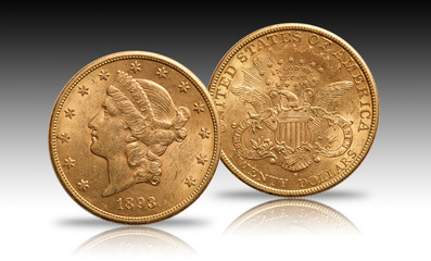 United States 20 dollars gold coin 1893