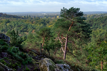 Fontainebleau forest hills  in the french Gâtinais regional nature park